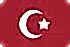 Türkçe